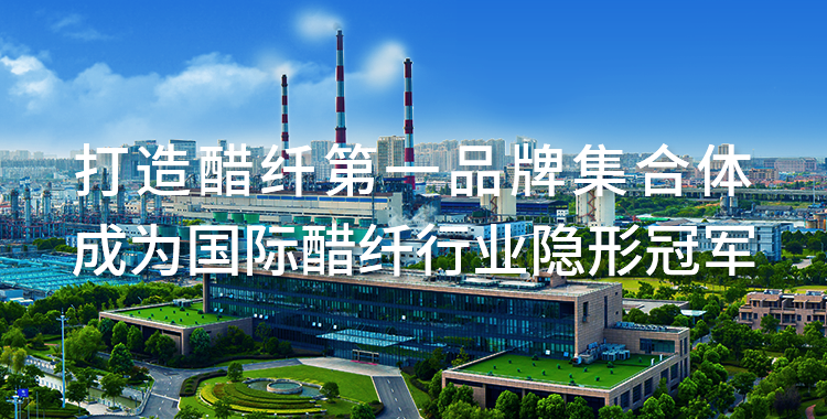 南通醋酸纖維有限公司